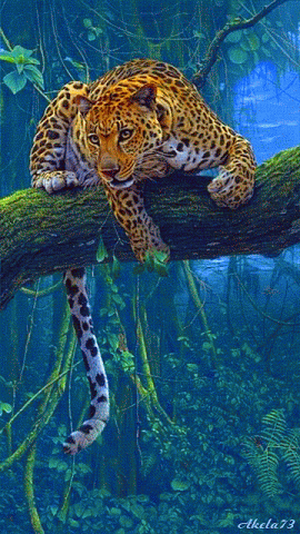 Beautiful tiger animated wallpaper